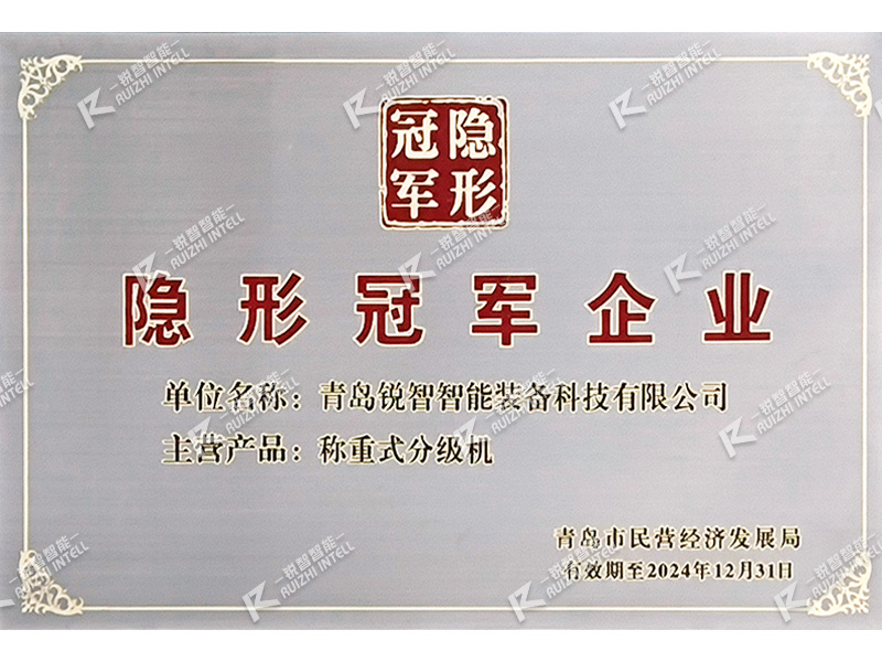 熱烈祝賀銳智智能榮獲青島市“隱形冠軍企業(yè)”榮譽(yù)稱號!