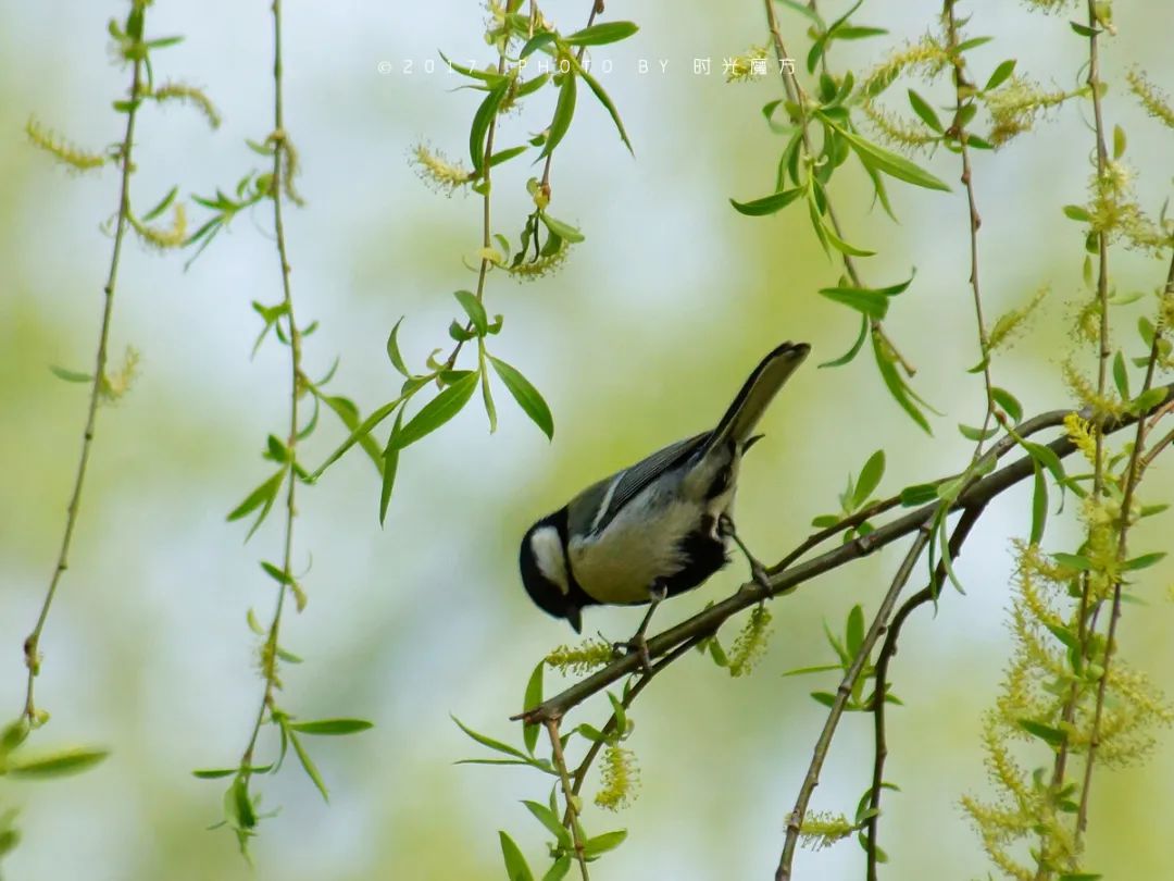 技工等級(jí)考試正在進(jìn)行中